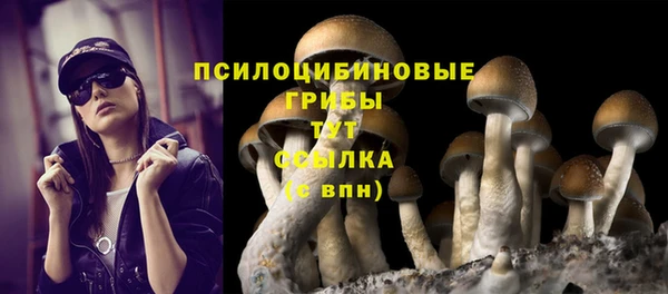 mdpv Алзамай