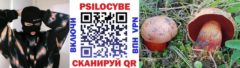 Псилоцибиновые грибы Magic Shrooms  где купить   Николаевск 