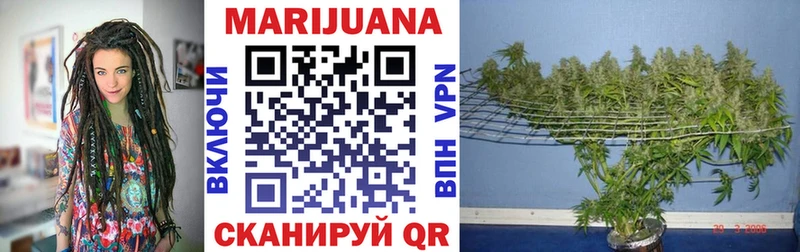 Шишки марихуана THC 21%  купить закладку  mega зеркало  Николаевск 
